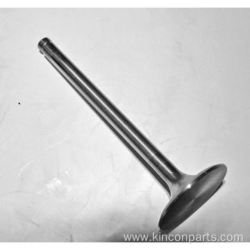 Engine Valves WD615